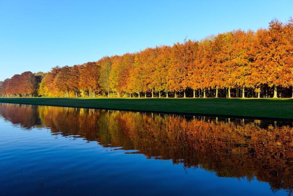 African Heritage Tervuren Luaran gambar
